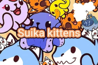 Suika Kittens img